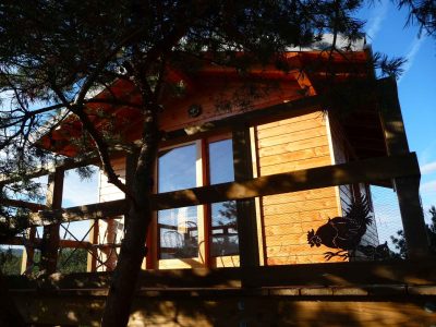 Cabane en bois perchée, entourée darbres, avec de grandes fenêtres lumineuses.
