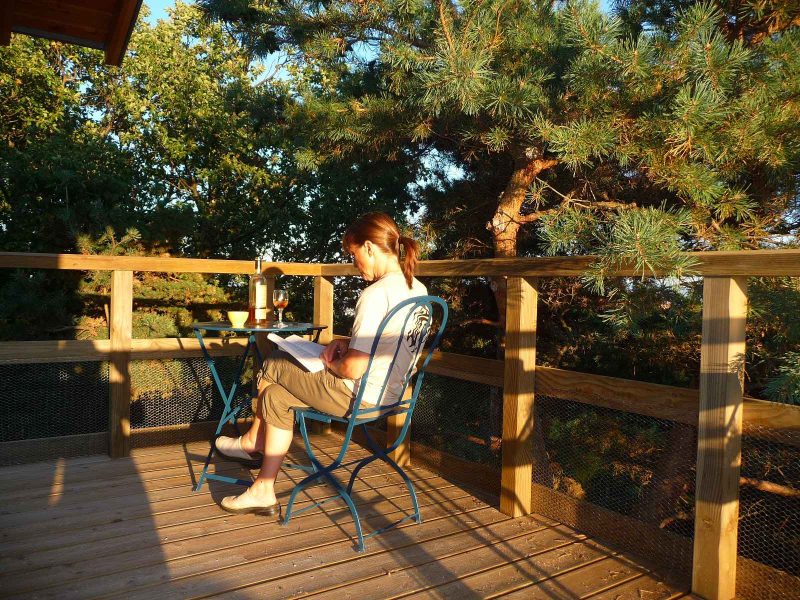 Chalet en bois avec terrasse, vue sur la nature, idéale pour se détendre.