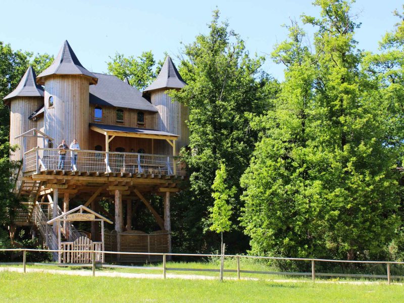 Cabane perchée en bois avec tours, entourée darbres verdoyants et dun grand espace.