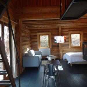 Cabane en bois dans les arbres, intérieur cosy avec canapé et cheminée moderne.