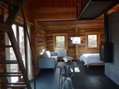 Cabane en bois dans les arbres, intérieur cosy avec canapé et cheminée moderne.