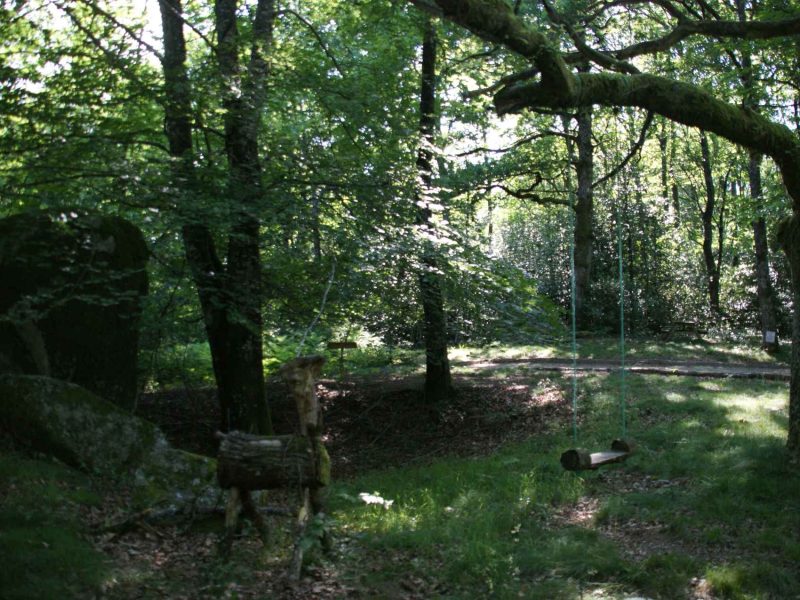 Cabane en bois nichée dans une forêt verdoyante, avec une balançoire en bois.
