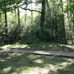Espace de camping ombragé avec une table en bois et des rochers naturels.