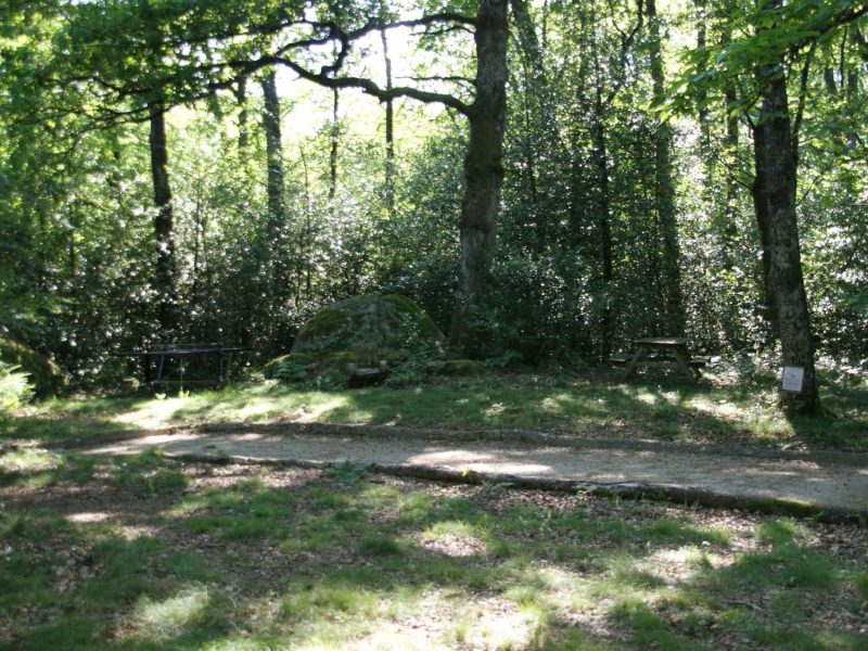 Espace de camping ombragé avec une table en bois et des rochers naturels.