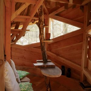 Cabane en bois dans les arbres, avec un intérieur chaleureux et des murs en bois clair.