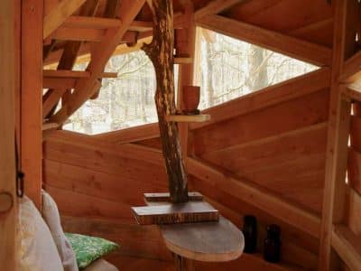 Cabane en bois dans les arbres, avec un intérieur chaleureux et des murs en bois clair.