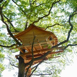 Cabane perchée dans un arbre, entourée de feuillage verdoyant à Grand-Est.