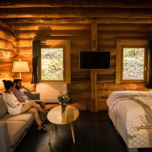 Cabane en bois en Aquitaine, avec un salon cosy et une vue sur la nature.