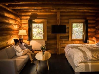 Cabane en bois en Aquitaine, avec un salon cosy et une vue sur la nature.