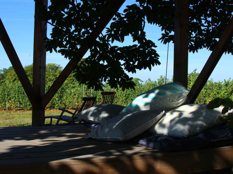 Cabane en bois avec coussins confortables, vue sur les vignes verdoyantes.