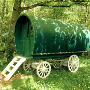 Charmante roulotte verte en pleine nature, idéale pour un séjour insolite en Bourgogne.