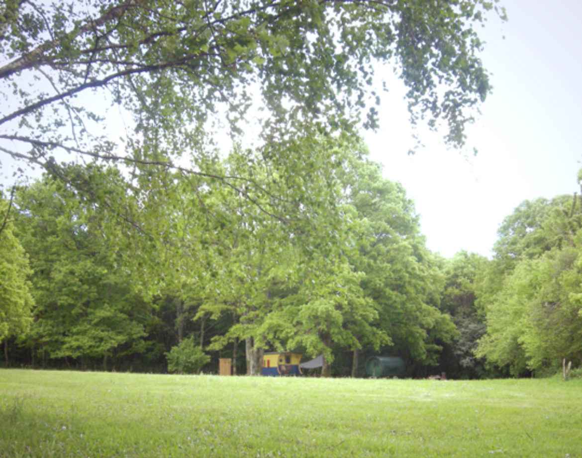 Hébergement insolite en Bourgogne, cabane en bois entourée de verdure luxuriante.