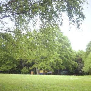 Hébergement insolite en Bourgogne, cabane en bois entourée de verdure luxuriante.