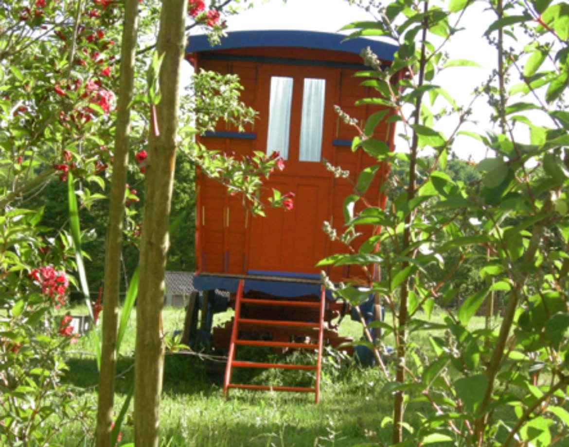 Roulotte colorée nichée dans la verdure, entourée de fleurs en Bourgogne.