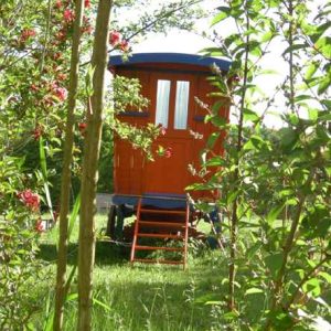 Roulotte colorée nichée dans la verdure, entourée de fleurs en Bourgogne.