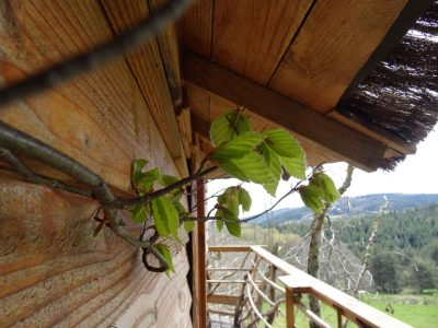Cabane en bois perchée, entourée de verdure et vue sur les montagnes.
