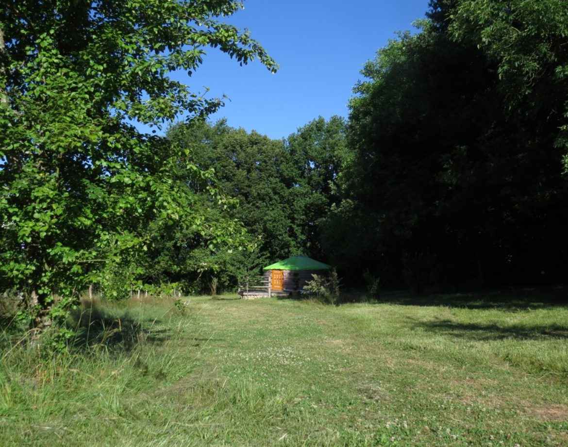 Yourte en Bourgogne, entourée darbres, avec un ciel bleu dégagé.