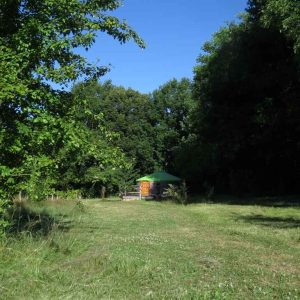 Yourte en Bourgogne, entourée darbres, avec un ciel bleu dégagé.