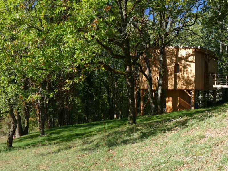 Cabane perchée dans les arbres, entourée de verdure et baignée de lumière naturelle.