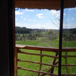 Vue depuis une cabane perchée en Auvergne, entourée de verdure et de paysages vallonnés.