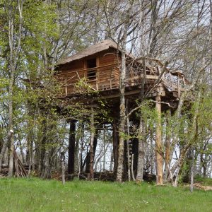 Cabane perchée en bois dans les arbres, entourée de verdure en Auvergne-Rhône-Alpes.