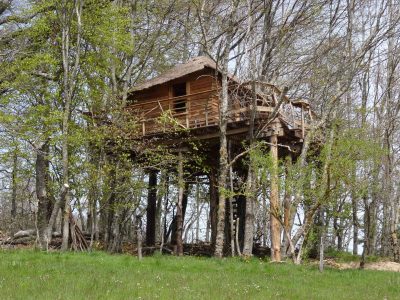 Cabane perchée en bois dans les arbres, entourée de verdure en Auvergne-Rhône-Alpes.