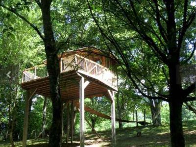 Cabane perchée en Bourgogne, entourée darbres verdoyants et lumineuse.