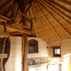 Cabane en bois avec un intérieur chaleureux et un plafond en bois voûté.
