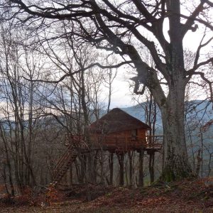 Cabane perchée en bois dans les arbres, entourée de nature en Auvergne-Rhône-Alpes.