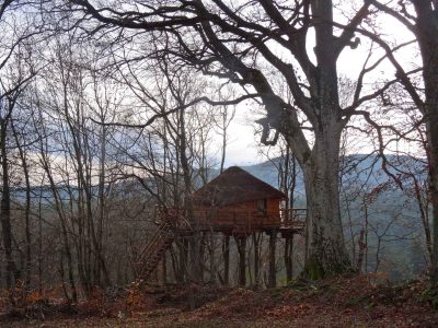Cabane perchée en bois dans les arbres, entourée de nature en Auvergne-Rhône-Alpes.
