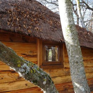 Cabane en bois avec toit de chaume, nichée entre les arbres en Auvergne-Rhône-Alpes.