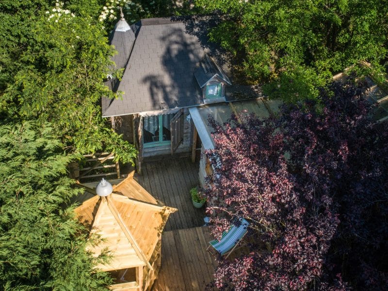 Cabane en bois entourée darbres, avec une terrasse en bois et des fleurs colorées.