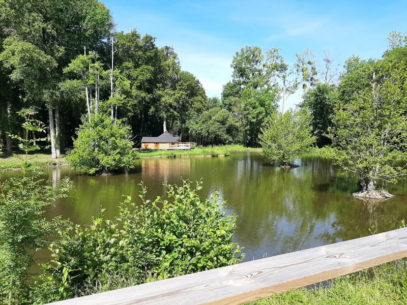 Cabane au bord dun étang, entourée de verdure luxuriante et darbres.