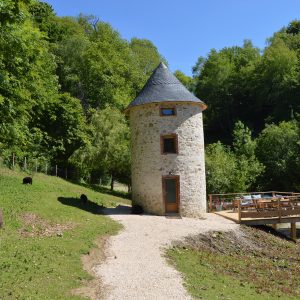 Hébergement insolite en forme de tour, entouré de verdure et danimaux paisibles.