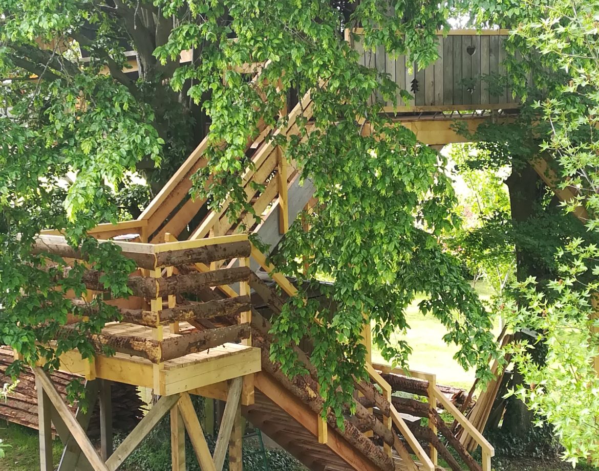 Cabane dans les arbres à Hauts-de-France, perchée dans un grand arbre verdoyant.