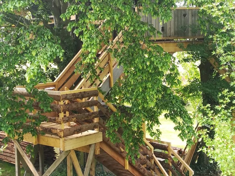 Cabane dans les arbres à Hauts-de-France, perchée dans un grand arbre verdoyant.