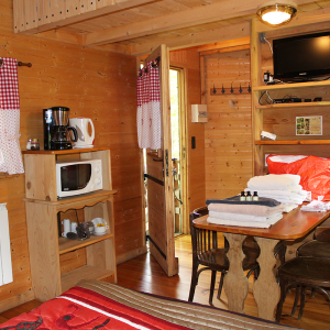 Cabane en bois cosy avec kitchenette et décor chaleureux en Bourgogne-Franche-Comté.