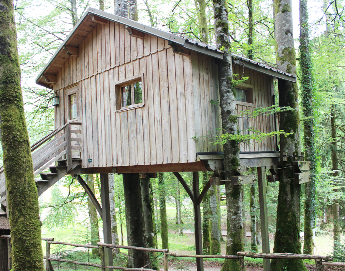 Cabane dans les arbres en bois, perchée au milieu dune forêt verdoyante.