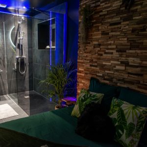 Hébergement insolite en Provence-Alpes-Côte dAzur, chambre moderne avec douche vitrée.