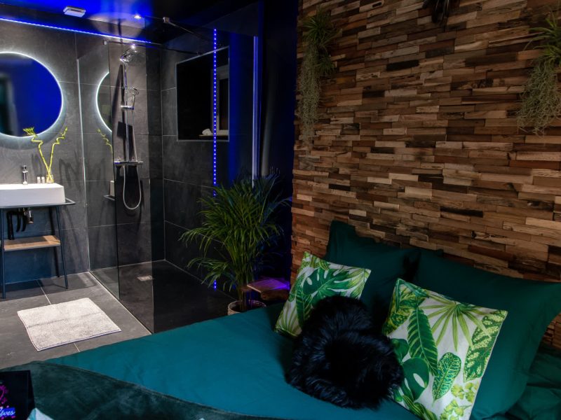 Chambre moderne avec salle de bain, décor bois et coussins tropicaux.