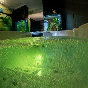 Hébergement insolite en Provence-Alpes-Côte dAzur avec jacuzzi et aquariums lumineux.