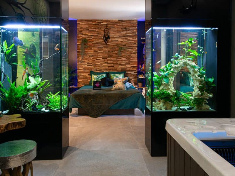 Hébergement insolite en Provence-Alpes-Côte dAzur, avec aquariums intégrés et spa.