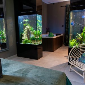 Hébergement insolite en Provence : chambre avec aquariums intégrés et baignoire.