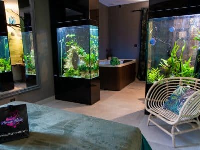 Hébergement insolite en Provence : chambre avec aquariums intégrés et baignoire.