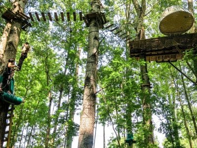 Cabane dans les arbres en Île-de-France, perchée entre les feuillages verdoyants.