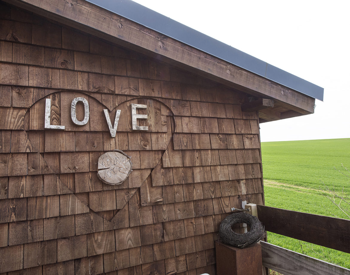 Cabane en bois avec un cœur décoratif, entourée de champs verdoyants.