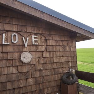Cabane en bois avec un cœur décoratif, entourée de champs verdoyants.