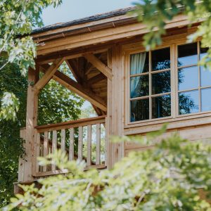 Cabane en bois perchée, entourée de verdure, offrant une vue apaisante.