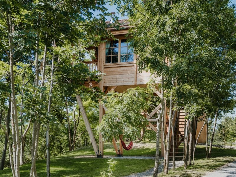 Cabane dans les arbres entourée de verdure, avec une terrasse et un hamac.