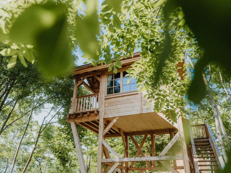 Cabane dans les arbres en bois, perchée au milieu dune verdure luxuriante.